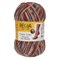 Regia Cotton Color, 420м/100g 9801621
