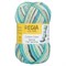 Regia Cotton Color, 420м/100g 9801621 - фото 35523