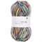 Rico Superba Fair Isle 4ply 01014251 - фото 36502